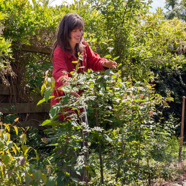 vrouw kijkt om hoekje wilde tuin