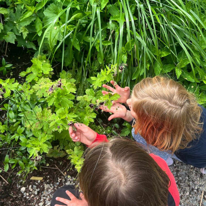 Avonturentuintje voor kinderen