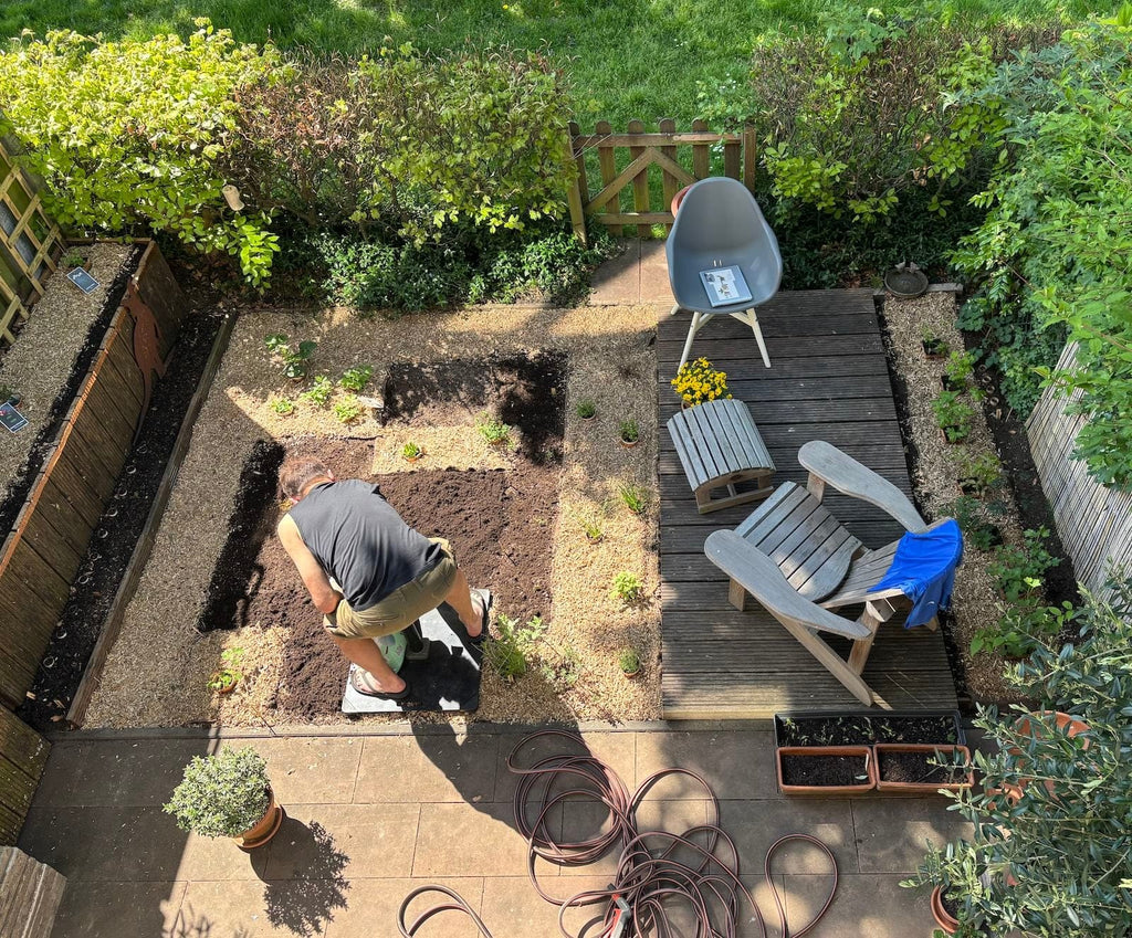 bij op bloem