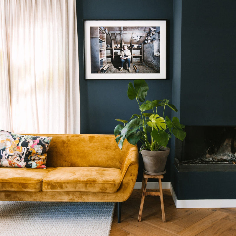 Monstera op krukje naast bank in huiskamer