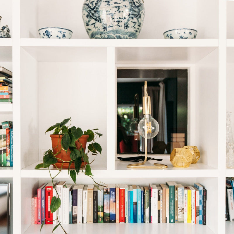Philodendron scandens in terra pot in boeken kast in huiskamer