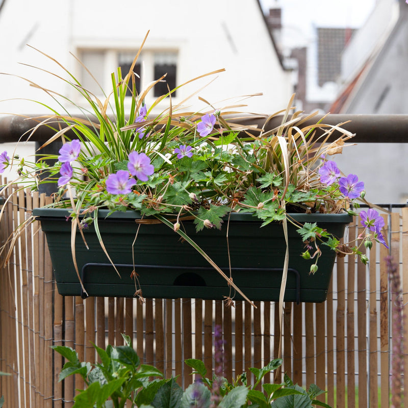 balkonbak groen met planten