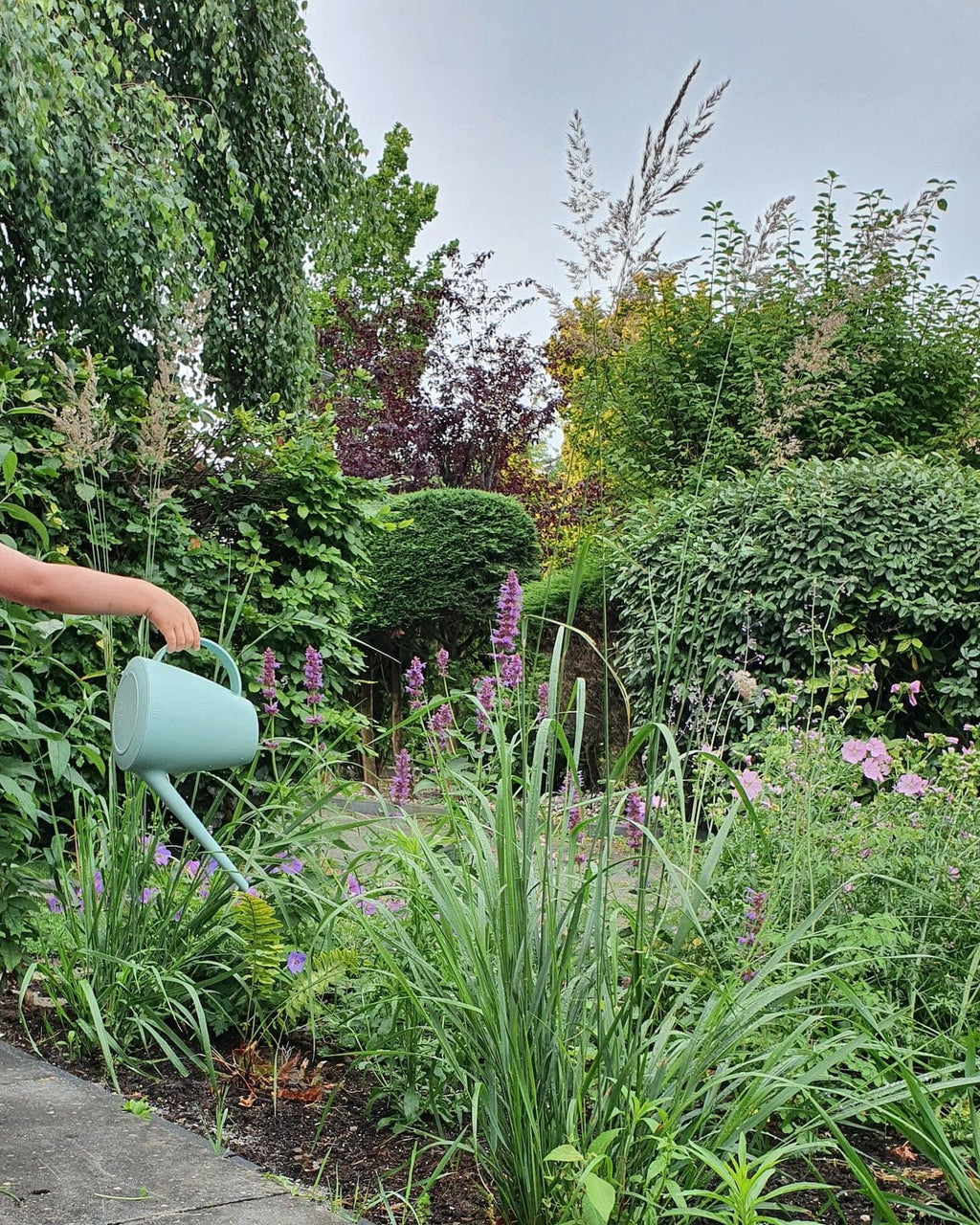 zak met biologische krokus bollen