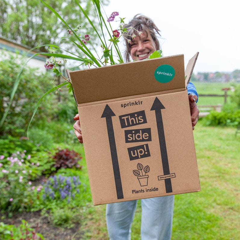 Verrassingspakket 15 bio tuinplanten