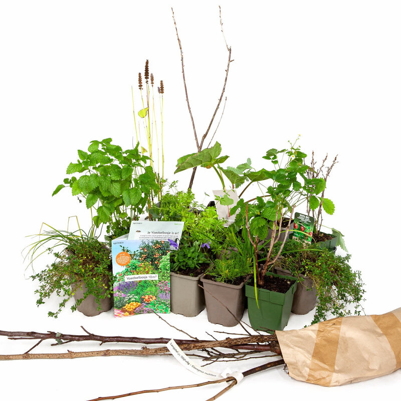 voedselbosje, tuinplanten in pot en heesters