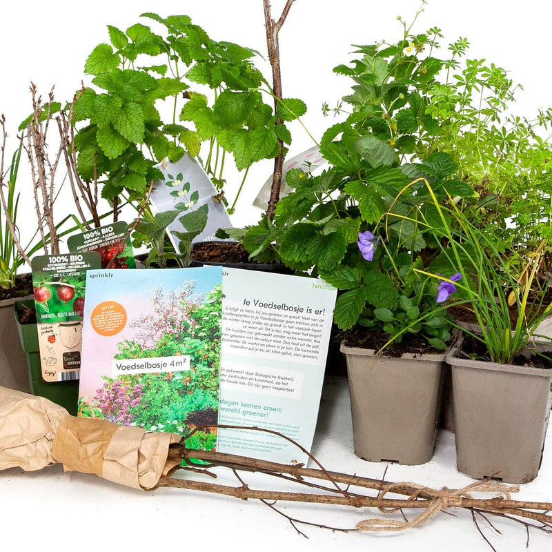 voedselbosje, tuinplanten in pot en heesters