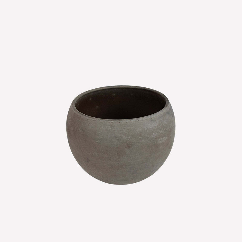 Vrouwentong Laurentii