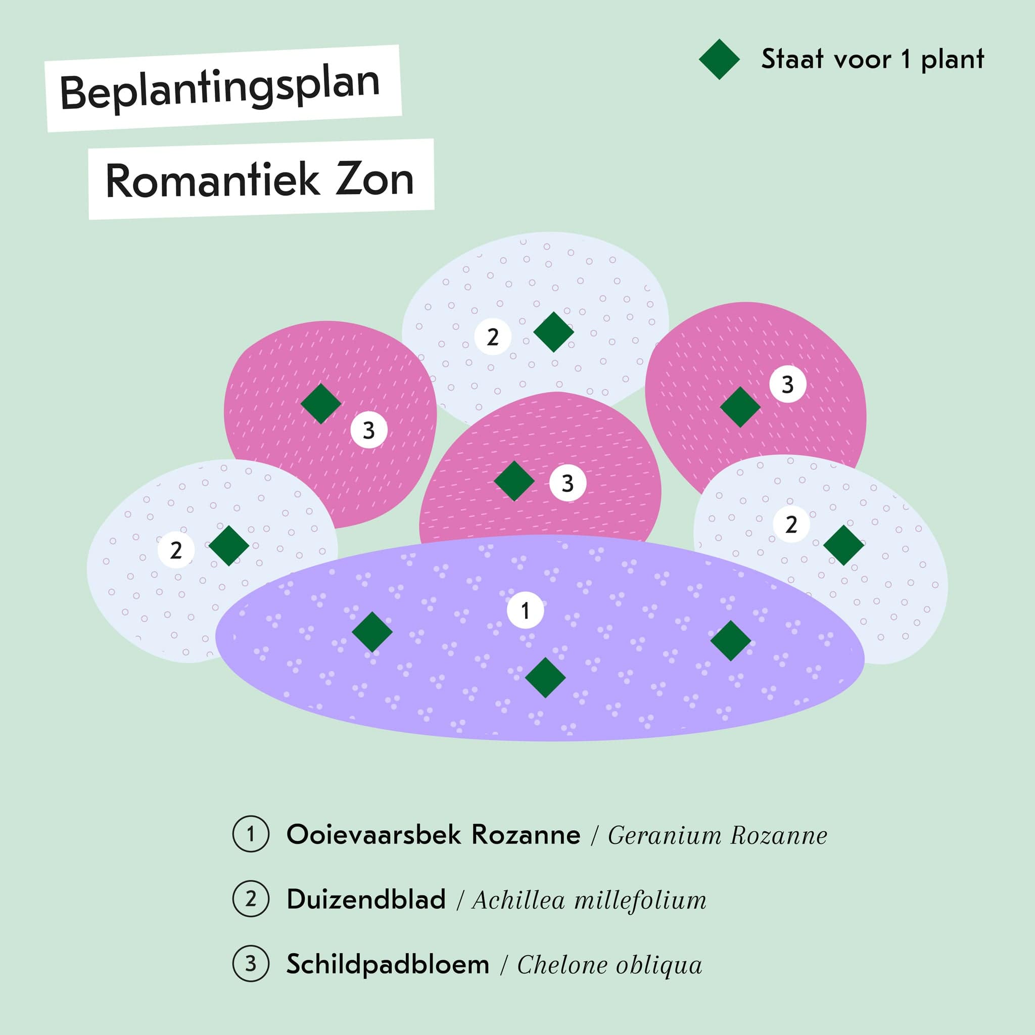 Tuinpakket Romantiek Half zon Zon 1m2 9 Biologische Tuinplanten tuinpakket-romantiek-half-zon-zon-1m2-9-biologische-tuinplanten