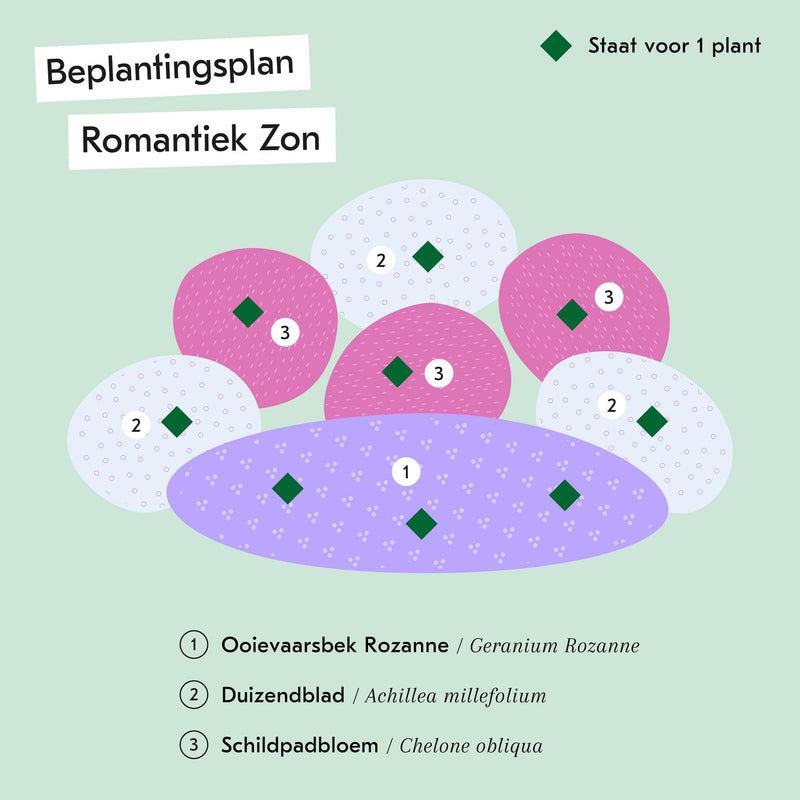 Illustratie van beplantingsplan Romantiek zon