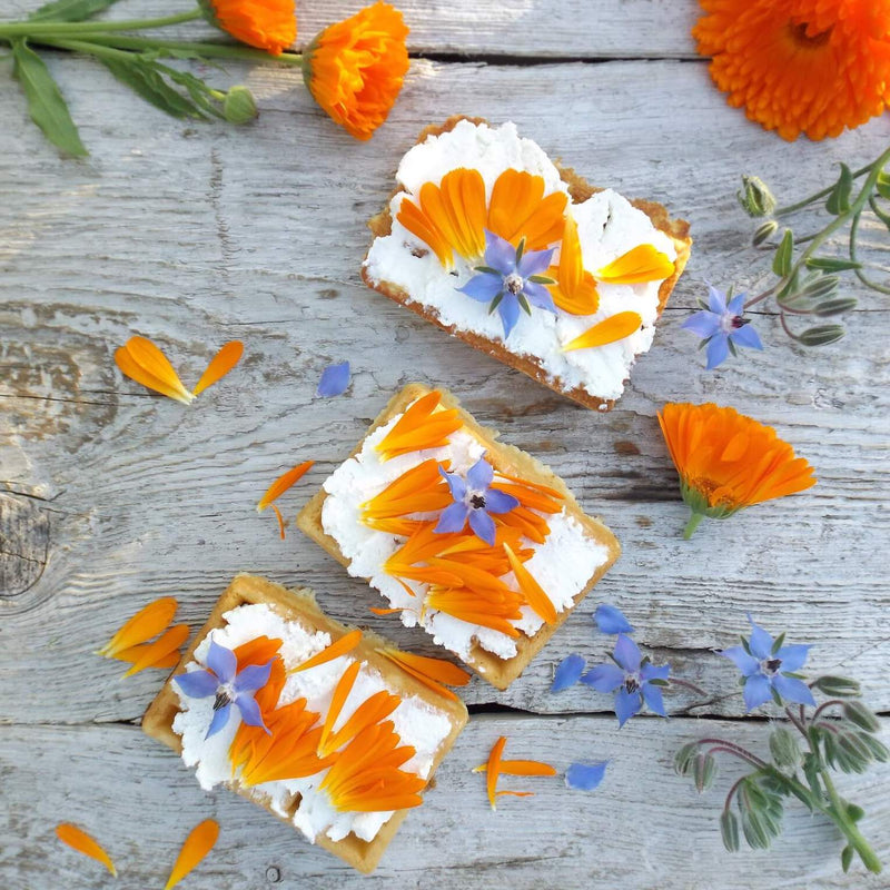 Crackers met bloemen van eetbaar bloementuintje