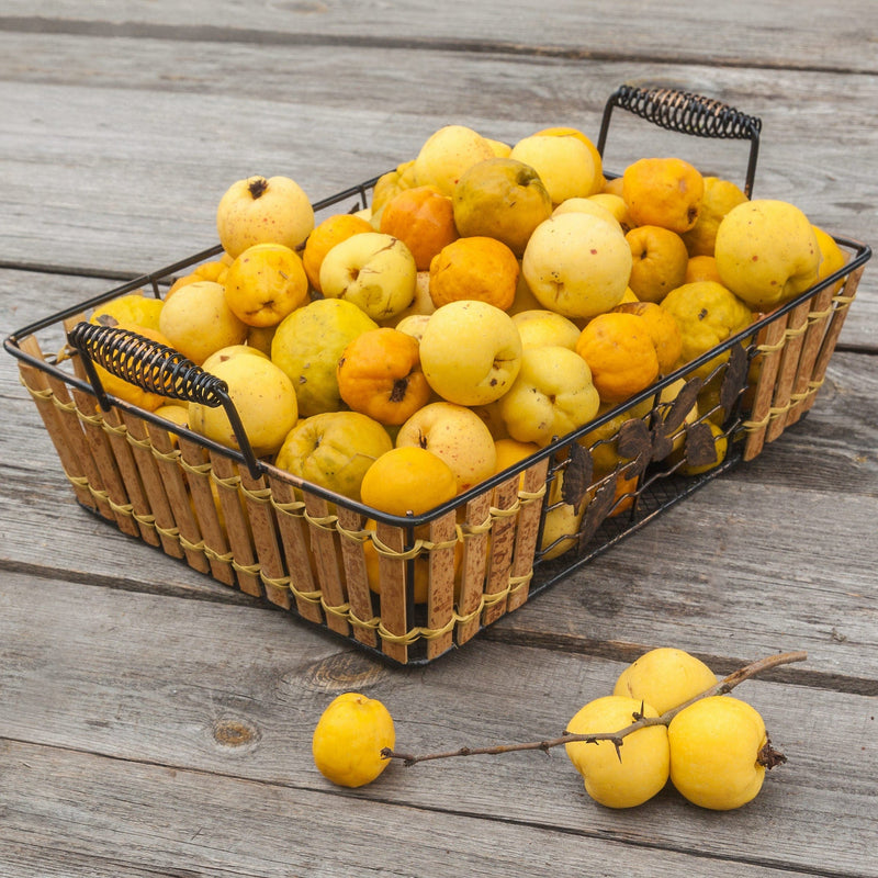 Chaenomeles japonica, een mand met gele peren van de dwergkee