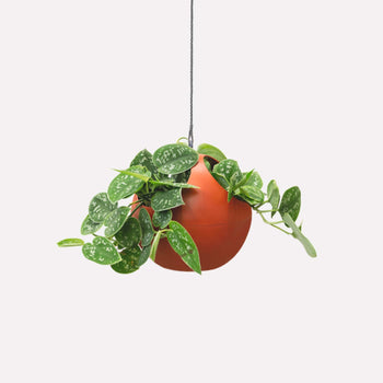 Hangpot Bol Steenrood Ø17 Hangpot Bol Steenrood Ø17