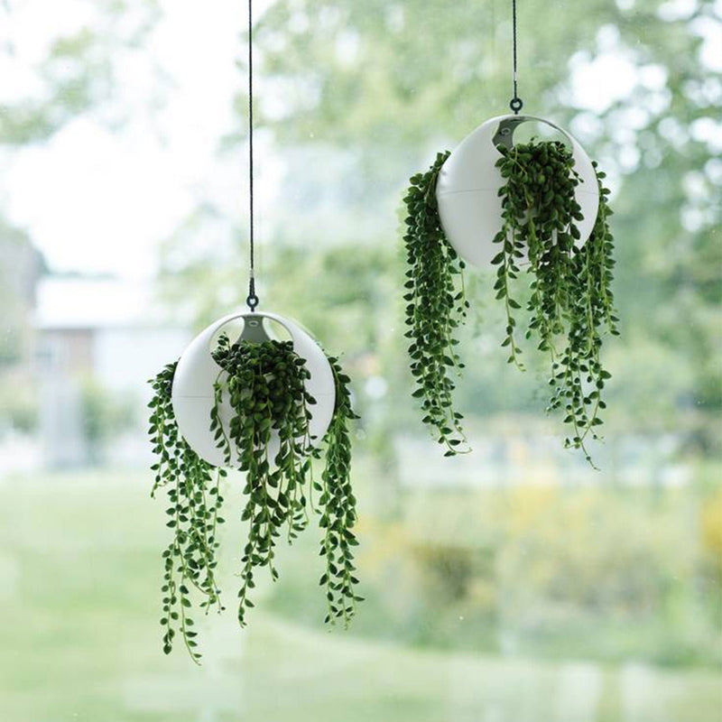 twee witte, ronde hangpotten met planten