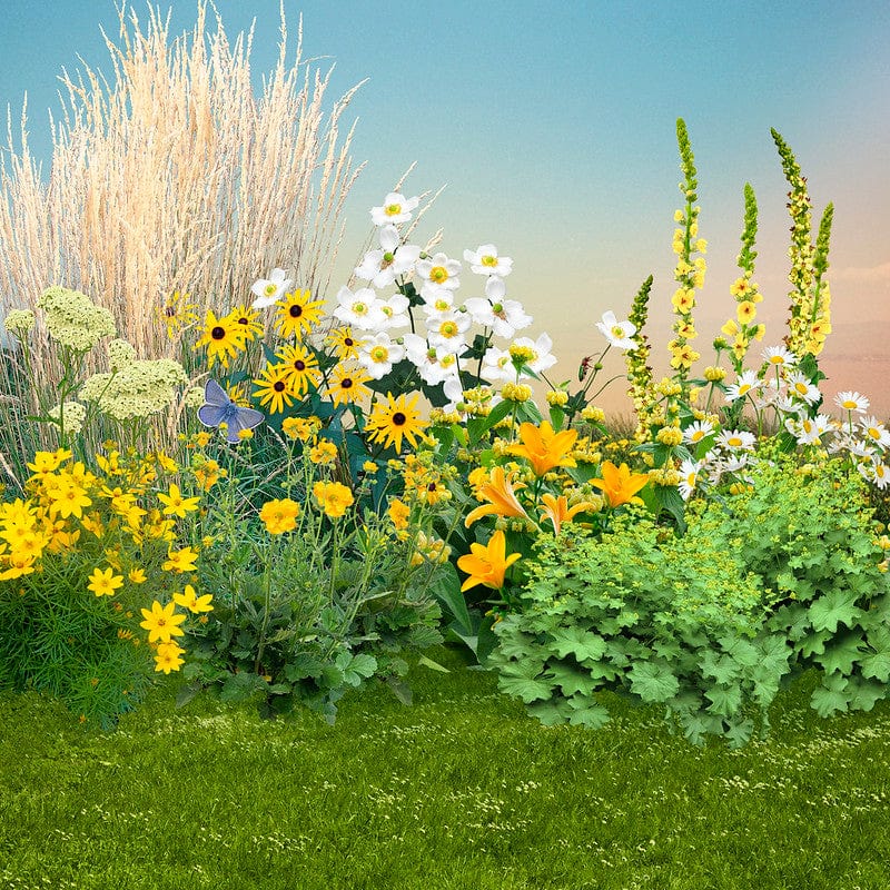 Collage van geel witte biologische planten voor een zonnige tuin.