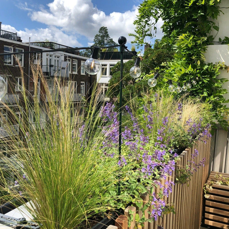 zon en wind, planten en grassen op balkon