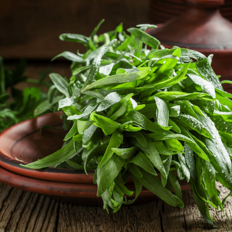 Groene bladeren van de biologische dragon