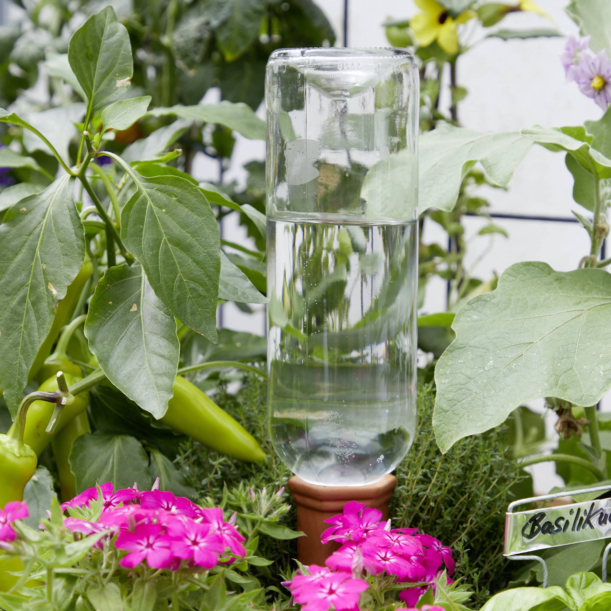 Druppelaars van terracotta bestellen? – Sprinklr