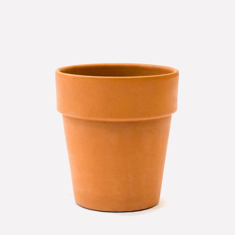 Hoge terracotta pot
