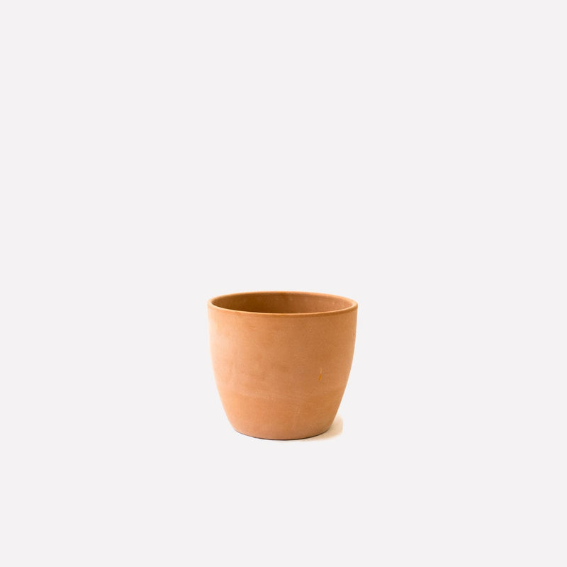 klein terracotta potje