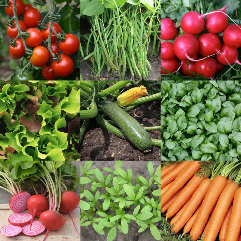 moestuin zaden pakket, collage van allerlei groenten en sla