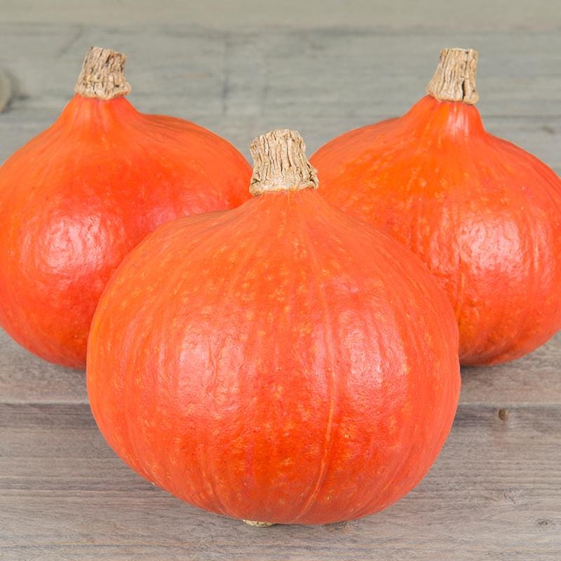 Drie pompoenen, met vol oranje glanzende schil en houterige korte steel.