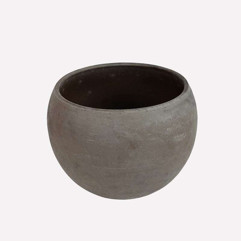 Smalle IJzervaren BIO