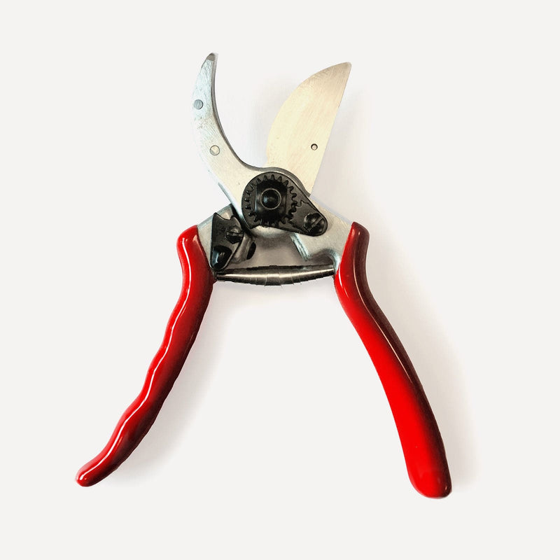 snoeischaar met rood handvat