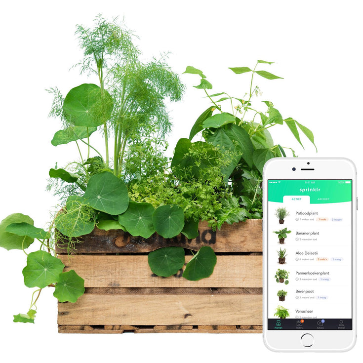 De app verdwijnt, onze hulp niet