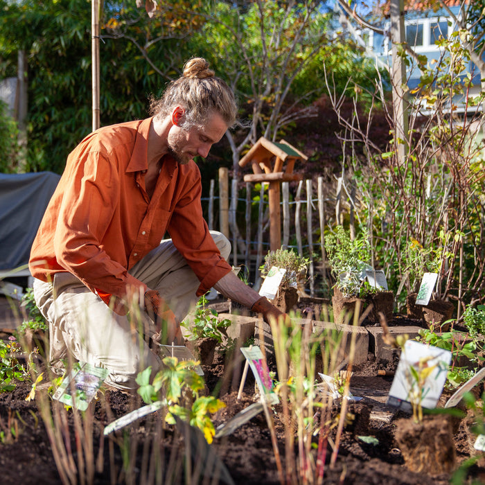 Biologisch tuinieren: waar moet je op letten?