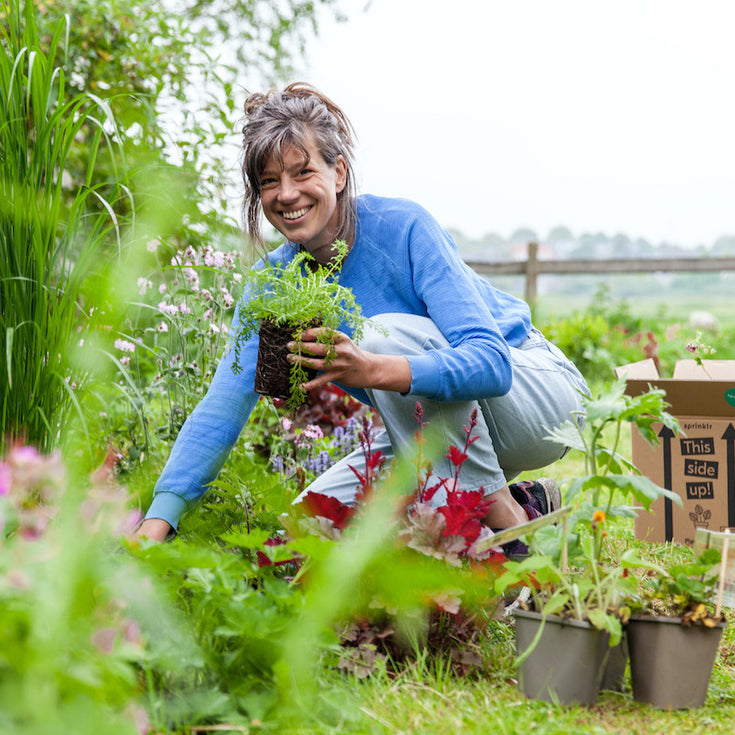 De Grote Tuinplantenquiz: dit zijn de antwoorden, en de winnaar!