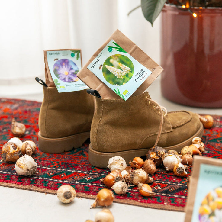 Sinterklaasgedichten voor bij je plantencadeau