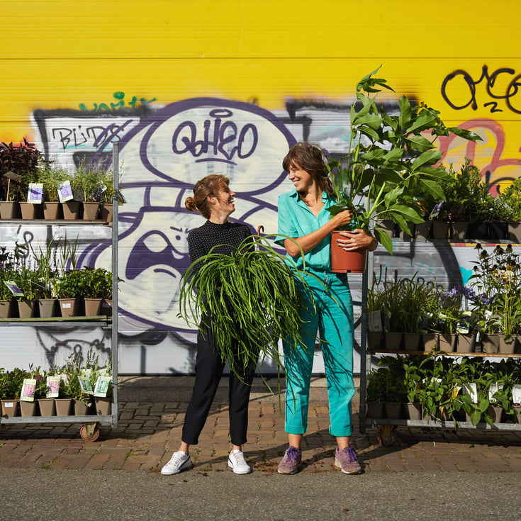 Sprinklr's impact in 2021