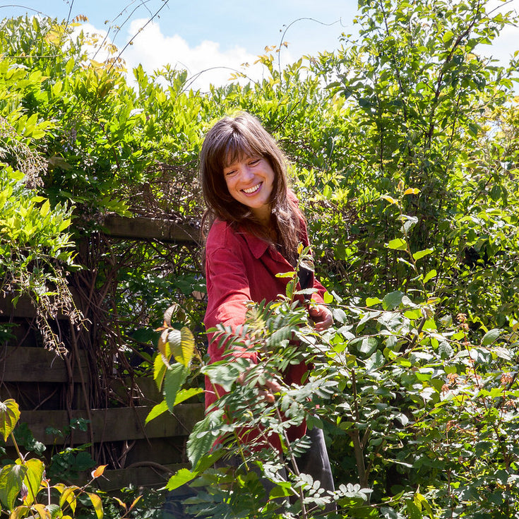 Tuinen vol Tuiny Forests in bloei!