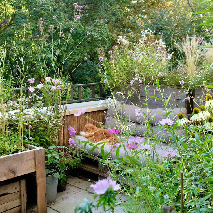 Drie zomers gezoem op het Bijenbalkon, kijk mee!