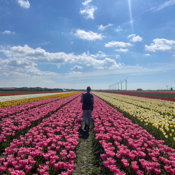 Van gangbare naar bio-bollenboer. Hoe kijkt Glenn terug op zijn eerste bio-seizoen?