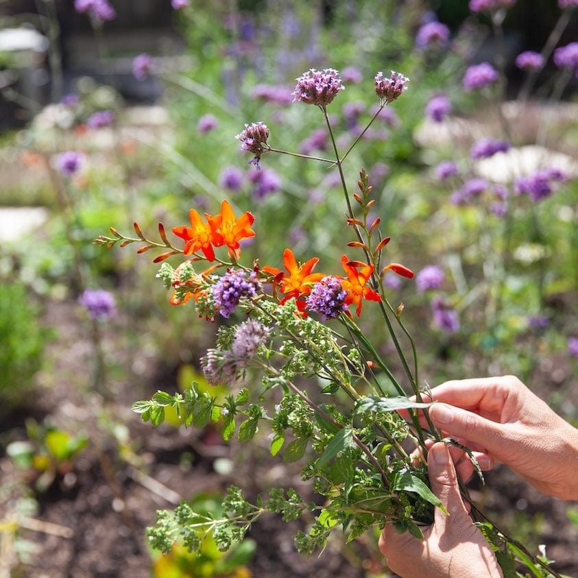 Tips voor de mooiste pluktuin