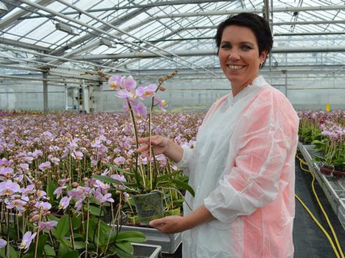 Biologische orchidee: 'vijf jaar zoektocht voordat het lukte.'