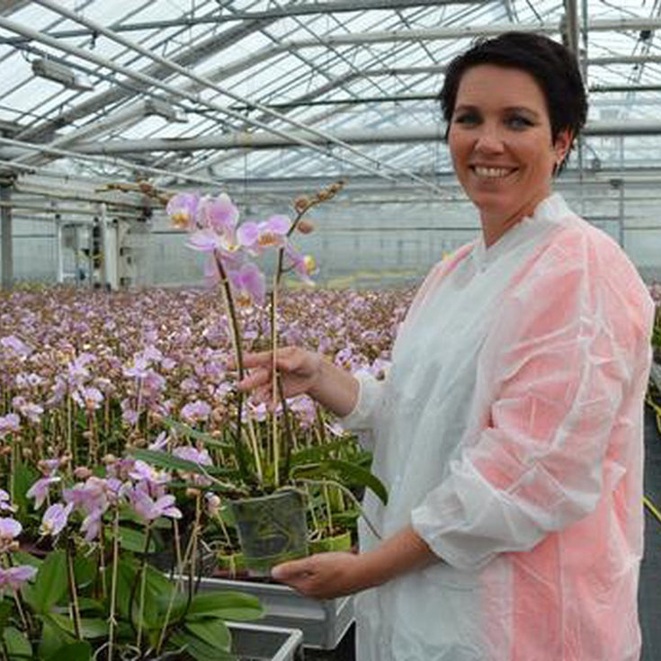 Biologische orchidee: 'vijf jaar zoektocht voordat het lukte.'