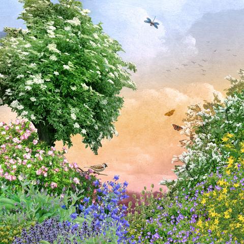 FAQ Inheems Paradijs