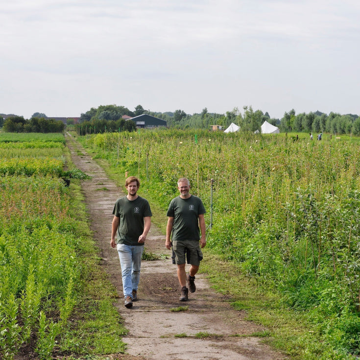 Kwekerij Koperwiek: biologische voedselboskwekerij met ambitie