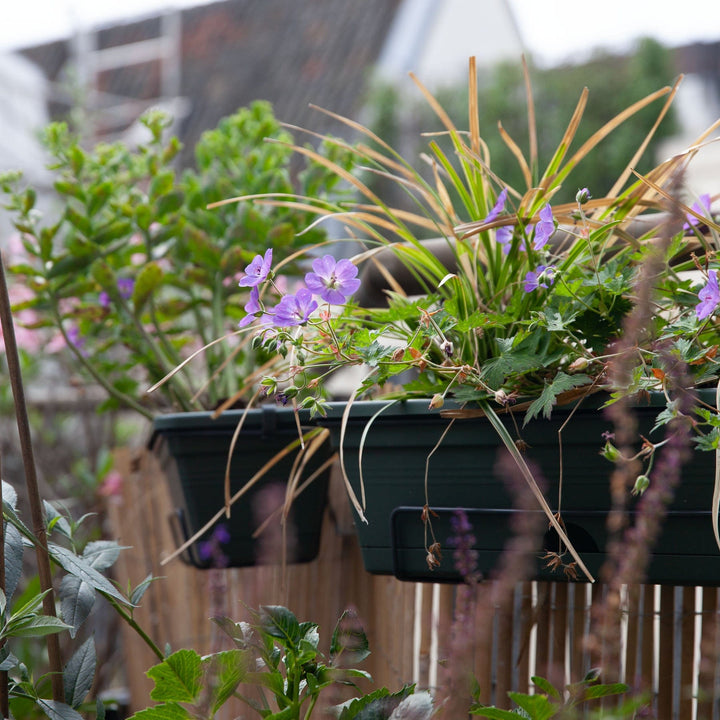 Tuinieren in balkonbakken, zo doe je dat