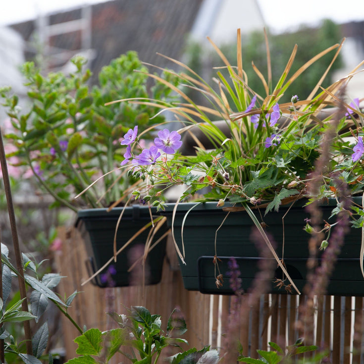 Tuinieren in balkonbakken, zo doe je dat