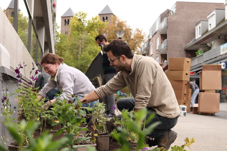 Gemeenten, wij helpen je vergroenen!