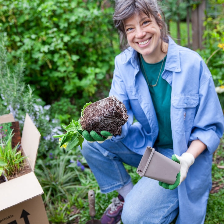 Dit zijn de antwoorden van de Grote Bio-tuinplanten Quiz 2026!