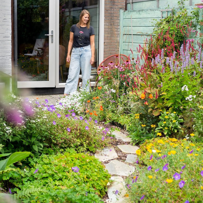 Op tuinbezoek: Van tegels naar bloemenzee in Eefs stadstuin