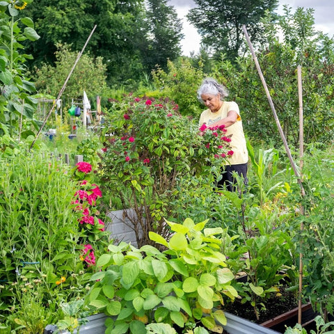 Op tuinbezoek: De vrolijke mengelmoestuin van Malti