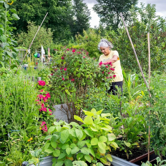 Op tuinbezoek: De vrolijke mengelmoestuin van Malti
