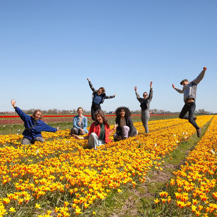 Tien jaar Sprinklr: dit is onze impact 2016 - 2026