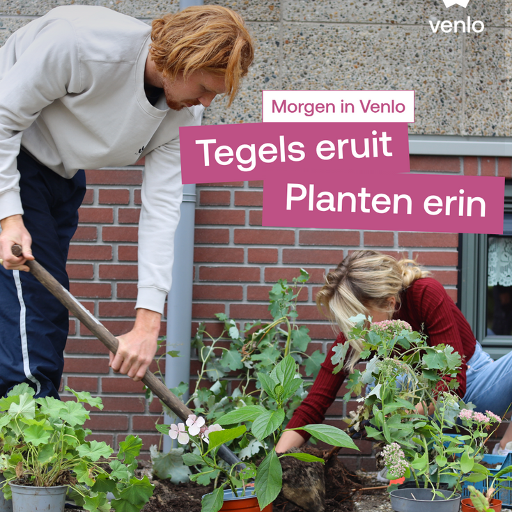 Bewoners helpen vergroenen met bio? Gemeente Venlo pakte het zo aan!