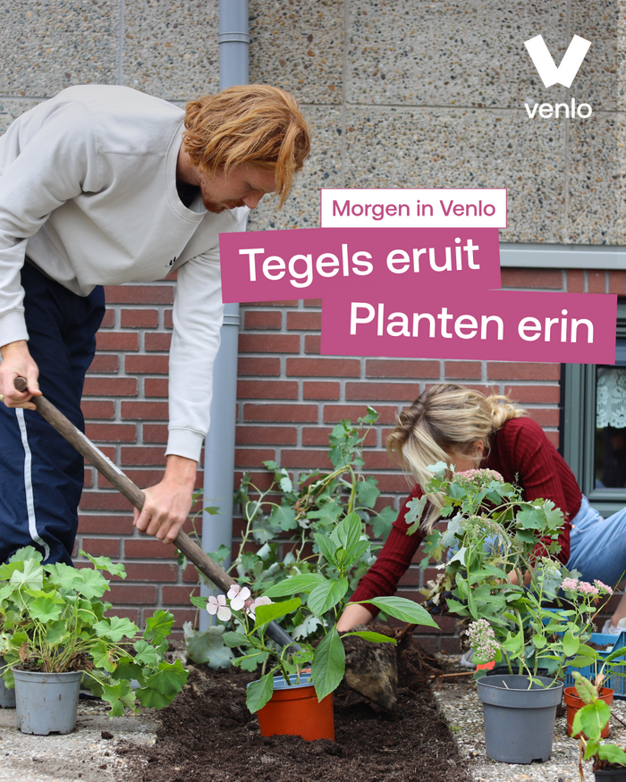 Bewoners helpen vergroenen met bio? Gemeente Venlo pakte het zo aan!